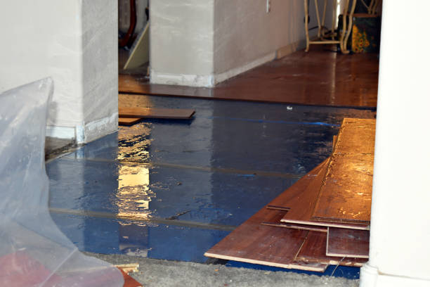 Professional Burst Pipe Cleanup technician working in Swanton, OH